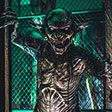 House of Horrors Buffalo Attraction